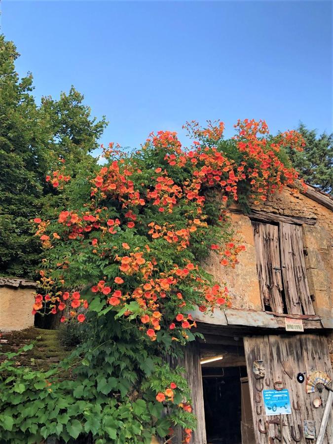 Chambres D'Hotes Les Coustilles Saint-Alvère Esterno foto